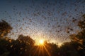 butterfly migration, with thousands of butterflies crossing the sunlit sky