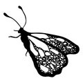 Butterfly, monochrome, coloring book, black and white illustration