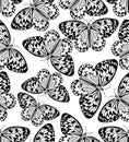 Butterfly monochrome drawing, black line drawing on white background, seamless patterns