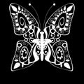 Butterfly monochrome white silhouette background