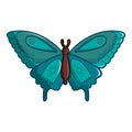 Butterfly morpho anaxibia icon, cartoon style