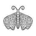 Butterfly moth black hand-drawn contour. Delicate coloring book design for adults and teenagers with small patterns. Antistress Royalty Free Stock Photo