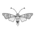 Butterfly moth black hand-drawn outline. Delicate adult coloring book design to relieve stress. Vector EPS 10