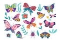 Butterfly moth insect vector illustration set, cartoon insects collection with colorful flying butterflies group, bug Royalty Free Stock Photo