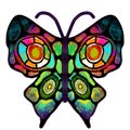 Butterfly. The multi-colored, painted butterfly. Insect illustration