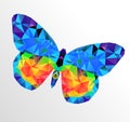 Butterfly multicolor logo Royalty Free Stock Photo