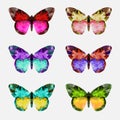 Butterfly multicolor logo Royalty Free Stock Photo