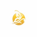 Butterfly Nature Organic Logo. Butterfly icon Royalty Free Stock Photo