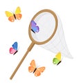 Butterfly net and colorful butterflies. Royalty Free Stock Photo