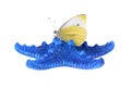 Butterfly on one Blue starfish close up isolated Royalty Free Stock Photo