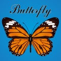 Butterfly with orange wings and space for text, view from above, isolated on blue background. Vector illustration, banner, card, p