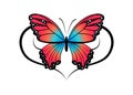 butterfly ornament tattoo Royalty Free Stock Photo