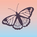 Butterfly outline purple on soft colors Royalty Free Stock Photo