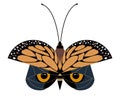 Butterfly or owl