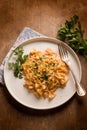 butterfly pasta with smoked salmon cream sauce Royalty Free Stock Photo