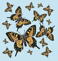 Butterfly pattern background Royalty Free Stock Photo