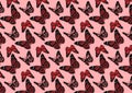 Butterfly pattern illustration for design layouts Royalty Free Stock Photo