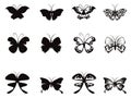 Butterfly pattern vector