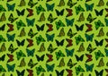 Butterfly pattern vector butterfly clipart illustration Royalty Free Stock Photo