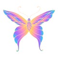 Butterfly with patterned wings, bright gradient orange purple blue color, isolated white background Royalty Free Stock Photo