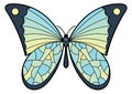 Butterfly with patterned wings. Decorative moth. Flying insect