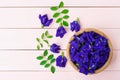 Fresh butterfly pea flower or blue pea, bluebellvine , cordofan pea, clitoria ternatea