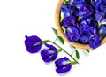 butterfly pea flower or blue pea isolated on white ,