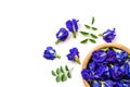 Butterfly pea flower or blue pea, bluebellvine , cordofan pea, clitoria ternatea with green leaf Royalty Free Stock Photo