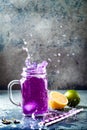 Butterfly pea flower blue iced tea or lemonade. Healthy detox herbal drink. Royalty Free Stock Photo