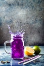 Butterfly pea flower blue iced tea or lemonade. Healthy detox herbal drink. Royalty Free Stock Photo