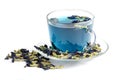 Butterfly pea flower blue tea in glass cup isolated on white background. Royalty Free Stock Photo
