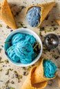 Butterfly Pea Flower ice cream