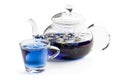 Butterfly pea flower tea in clear glass teapot isolated on white Royalty Free Stock Photo