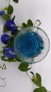 Butterfly pea flower tea, commonly known as blue tea, is a caffeine-free herbal tea