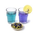 Butterfly pea flower tea and dried butterfly pea tea flowers close up on white background Royalty Free Stock Photo