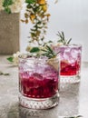 Butterfly pea flower tea with lemon. Purple iced lemonade. Healthy detox herbal drink Royalty Free Stock Photo