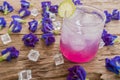Butterfly Pea flowers and Blue Pea juice ice drink with lime on wooden plank Royalty Free Stock Photo
