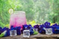 Butterfly Pea flowers and Blue Pea juice ice drink with lime on wooden plank Royalty Free Stock Photo