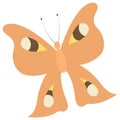 Butterfly. Peacock eye. Orange insect with patterned wings. Color vector illustration.