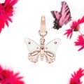 Butterfly pendant, jewelry