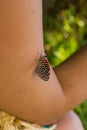 butterfly 88 perched on the arm of a person Royalty Free Stock Photo