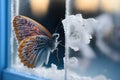 a butterfly perched on a frosty windowpane