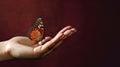 Butterfly perched on hand on maroon background