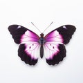 Purple Emperor Butterfly With Pale Pink And Black Wings