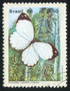 Butterfly Pierriballia mandel molione Royalty Free Stock Photo