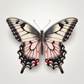 Pink And Black Swallowtail Butterfly Illustration On White Background