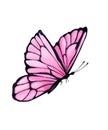 Butterfly with pink wings. Hand-drawn watercolor clipart.