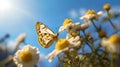 Butterfly poised on a white flower under sunny sky. nature's beauty captured up-close. tranquil summer day. AI Royalty Free Stock Photo