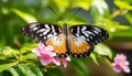 Butterfly pollination brings vibrant colors to nature generated by AI Royalty Free Stock Photo