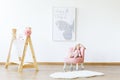 Butterfly poster, wooden clothes hanger and pink armchair with a